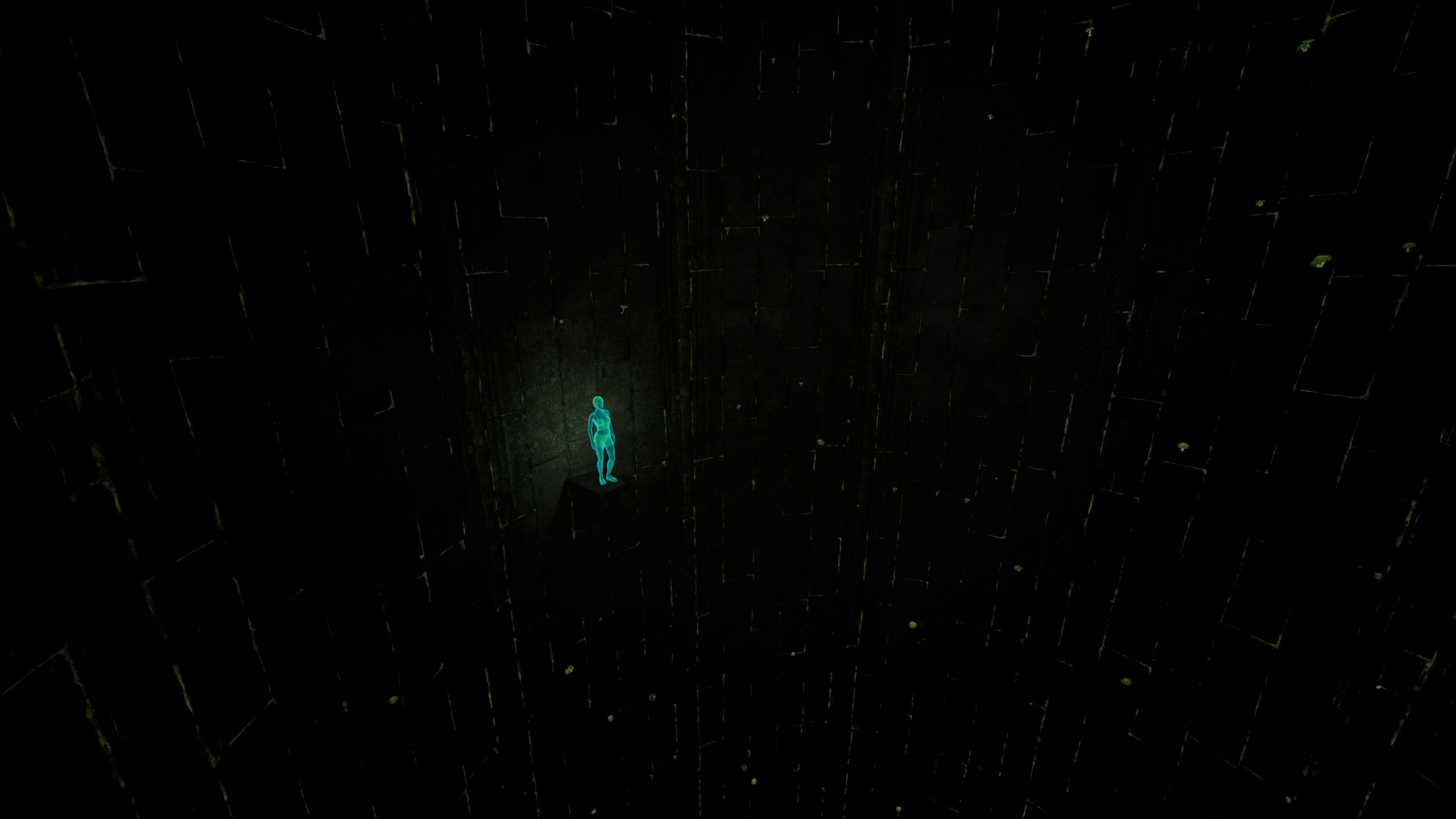 Fallen: Into the Darkness screenshot 5
