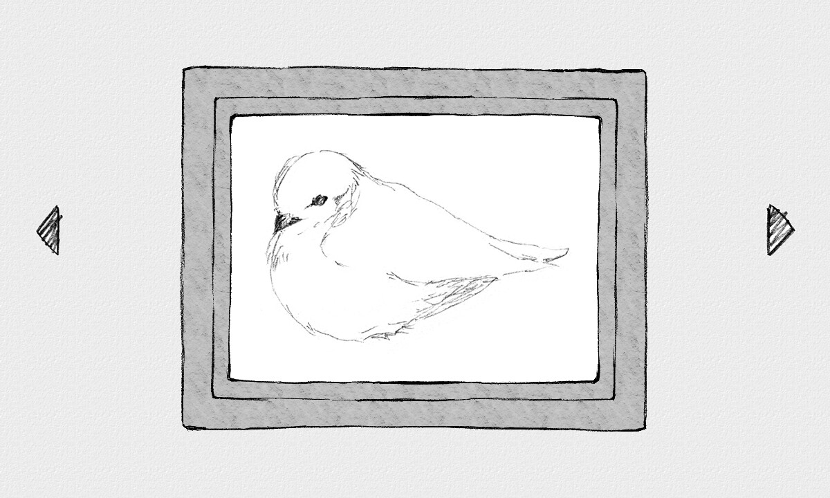 STRAY SKETCH screenshot 3