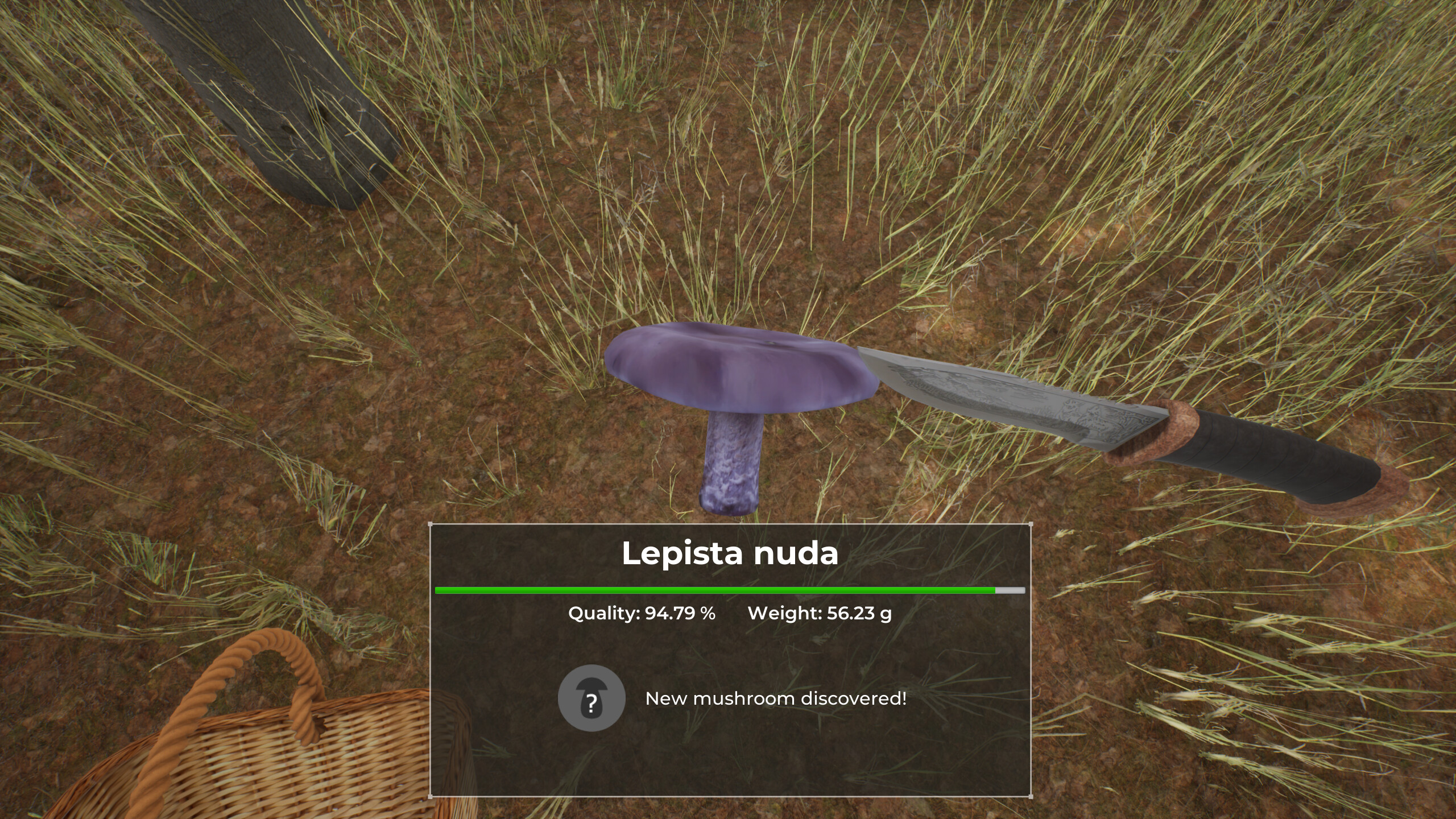 Mushroom Hunter World screenshot 8