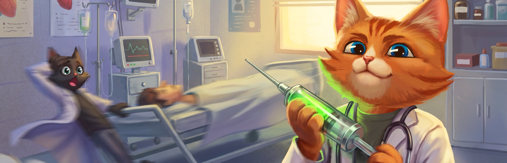Nine Lives Hospital