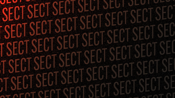 SECT screenshot 6
