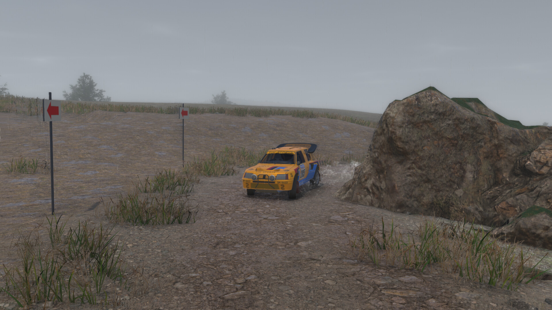 SIM SPORTS RAID screenshot 5