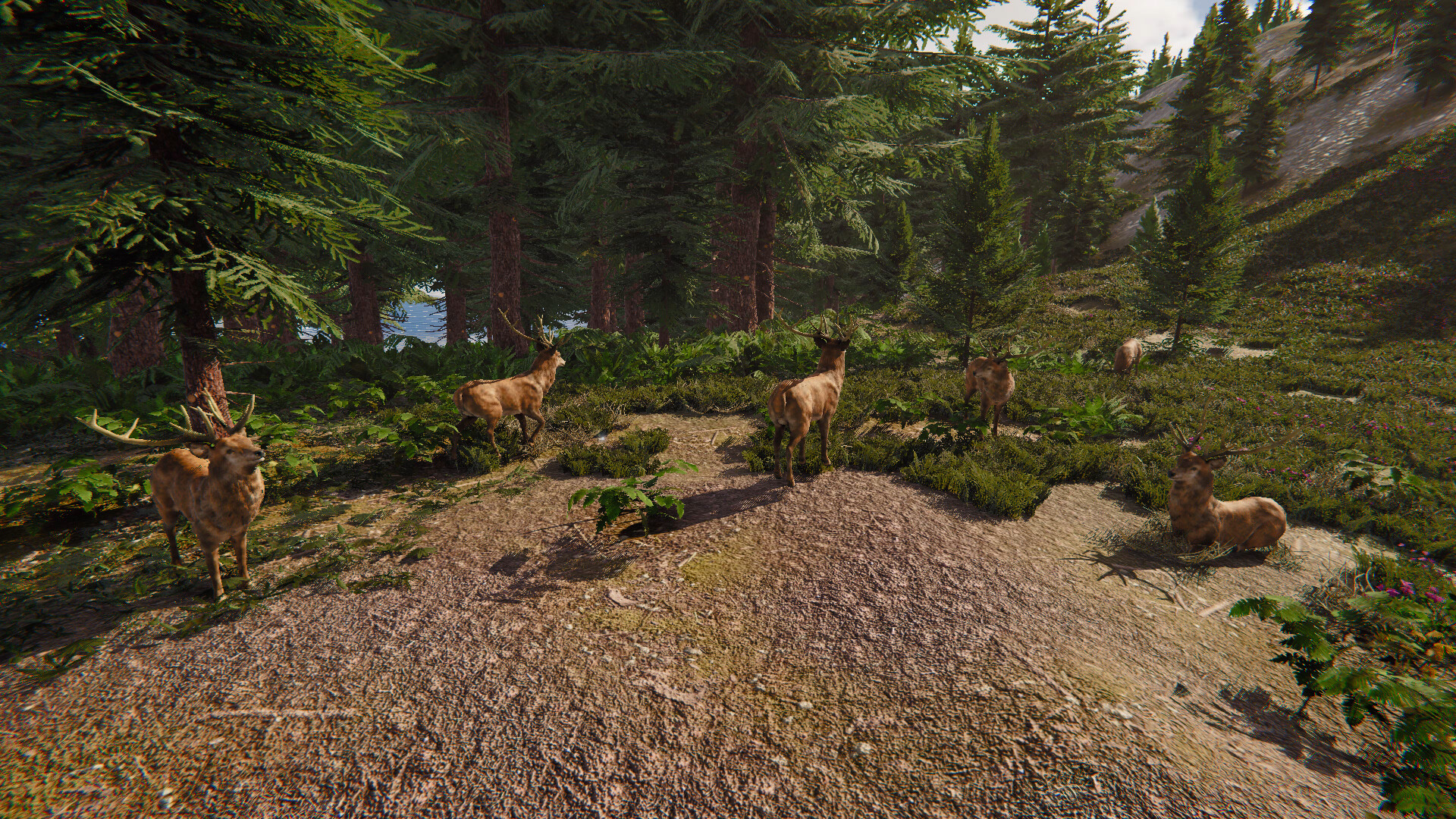 The Lost Hunter screenshot 5