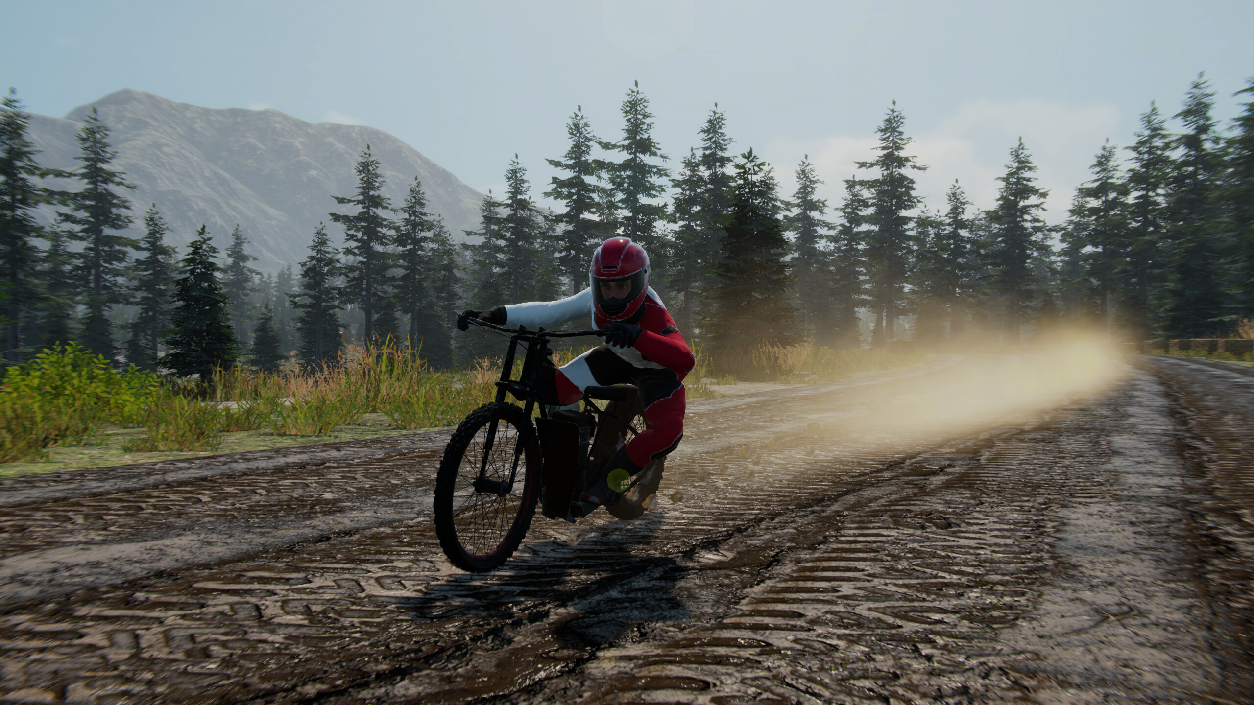 Motocross Evolution 2025 screenshot 7