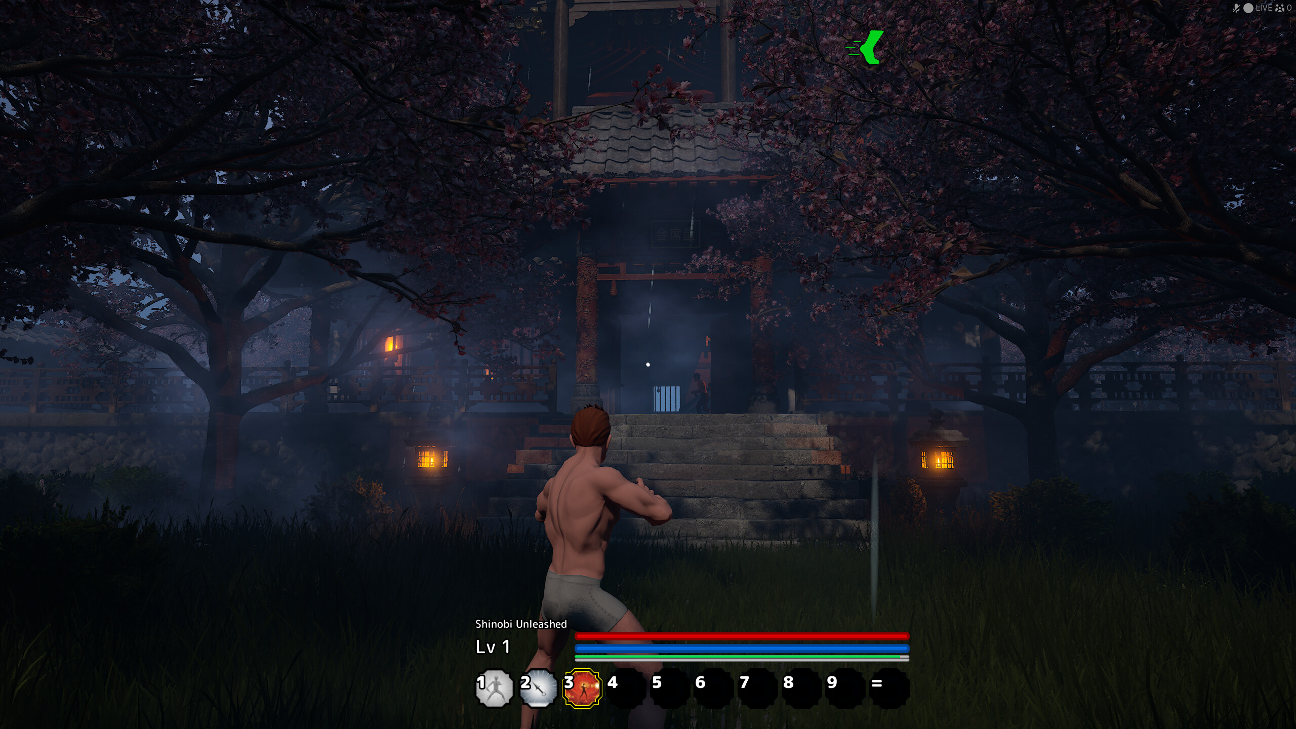 Shinobi Unleashed screenshot 9