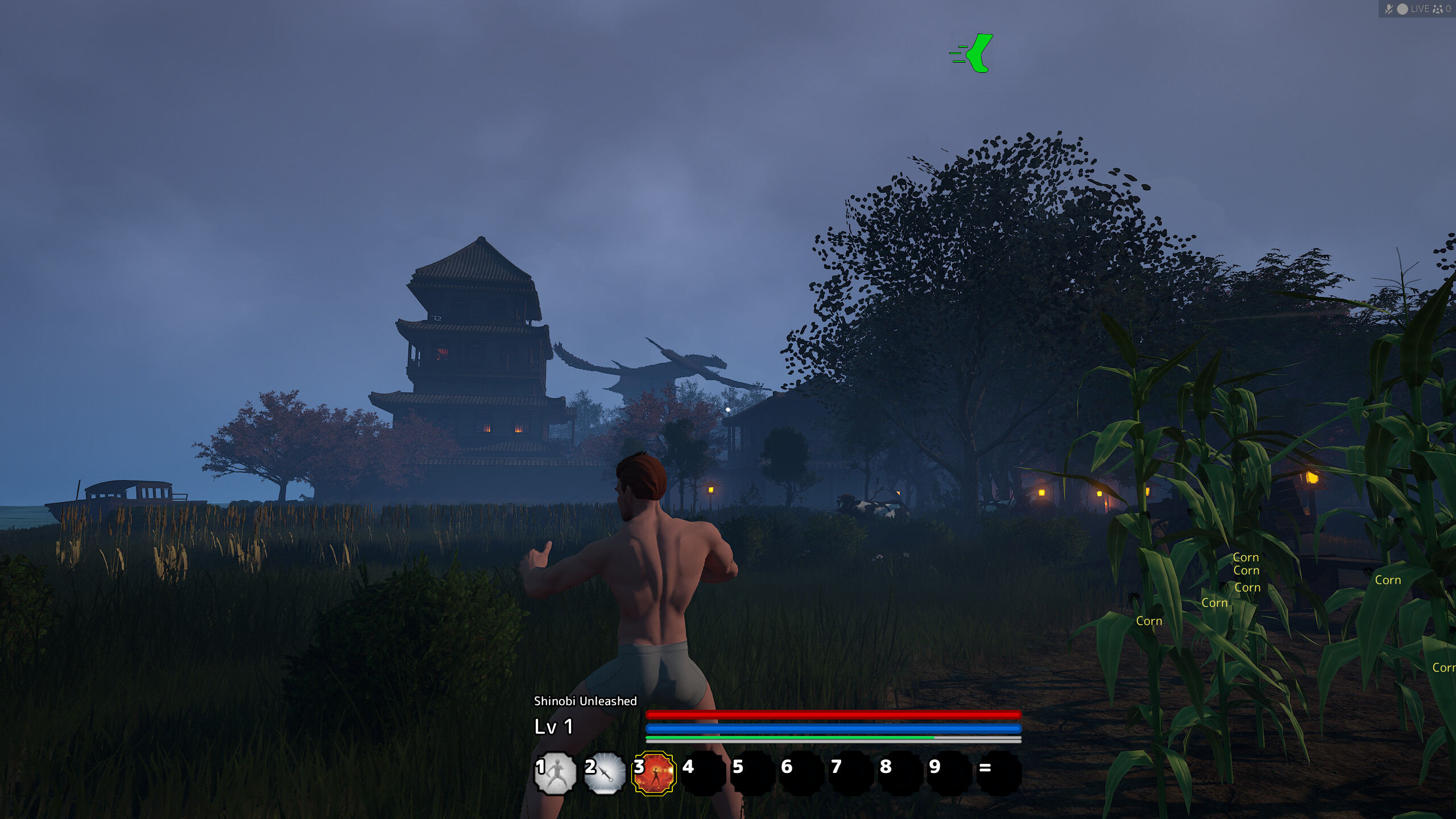 Shinobi Unleashed screenshot 7