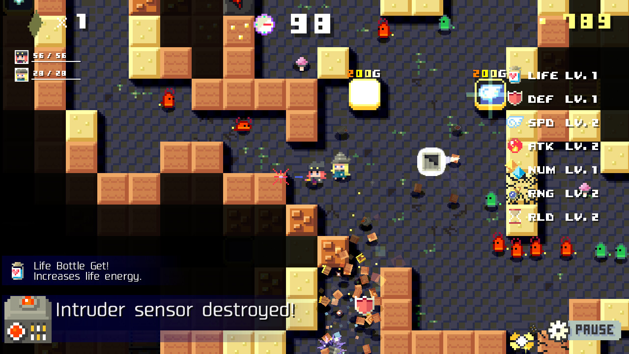 DUNGEON RAZE screenshot 1