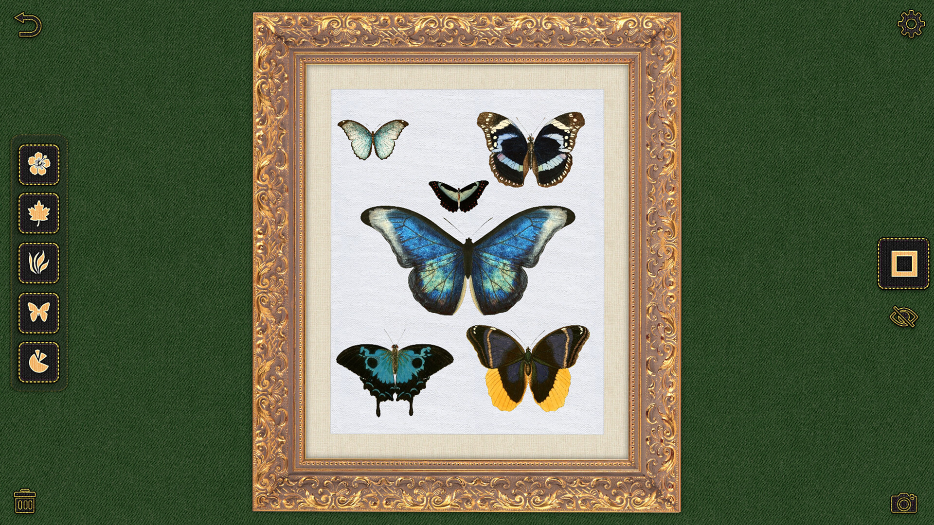 Nature Atelier screenshot 3