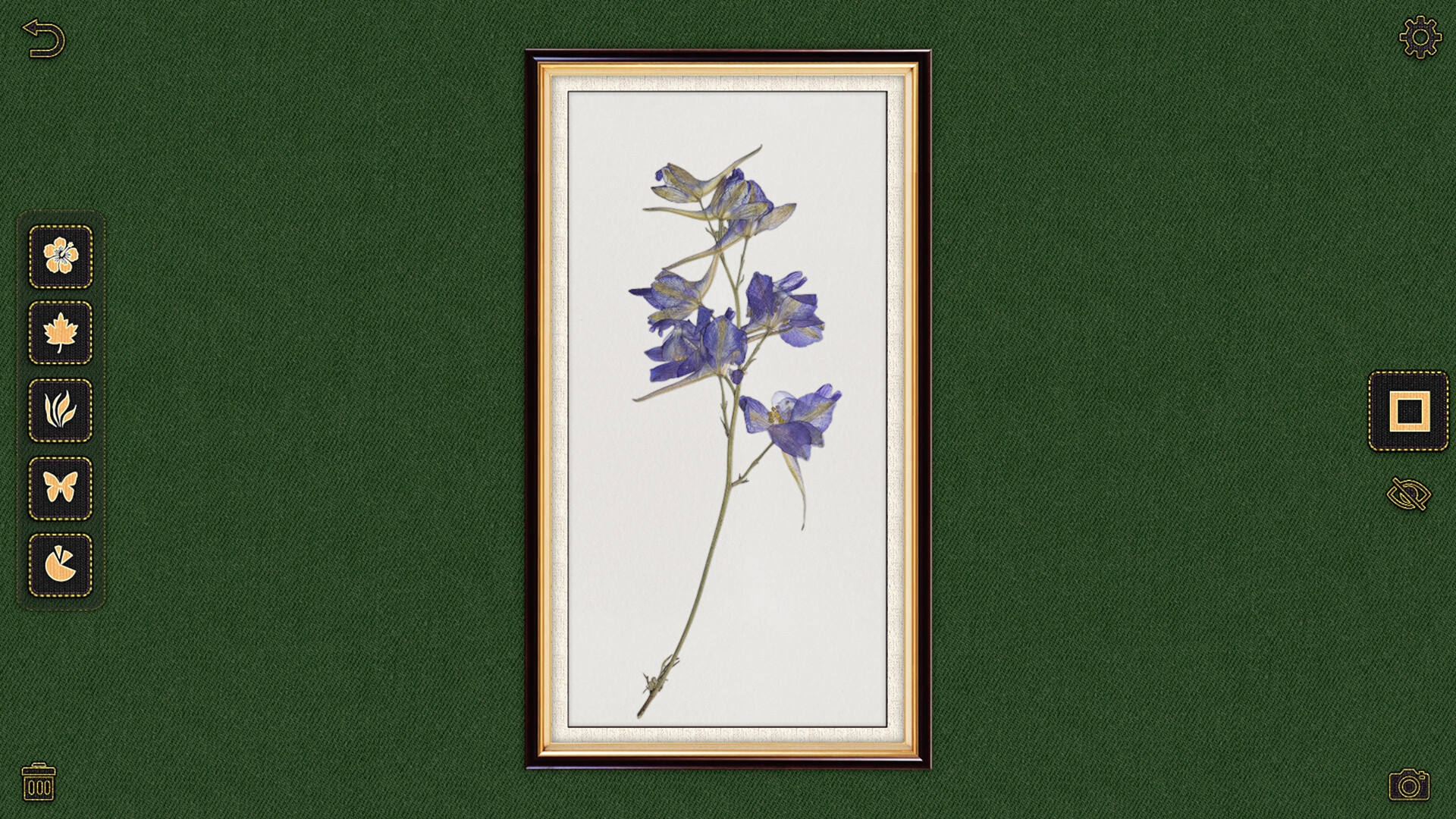 Nature Atelier screenshot 16
