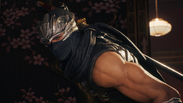 NINJA GAIDEN 2 Black 4