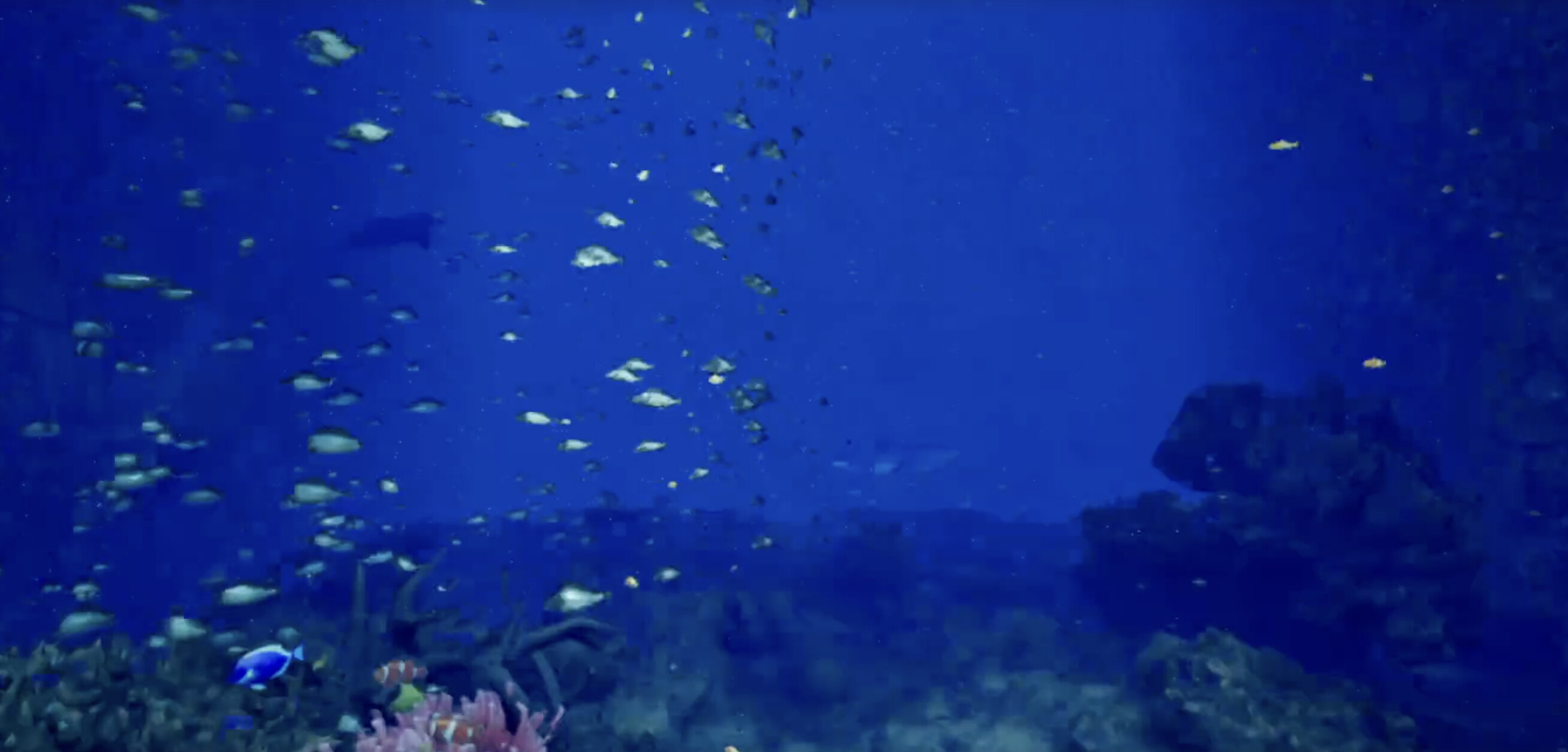 ８月３２日の水族館VR screenshot 4