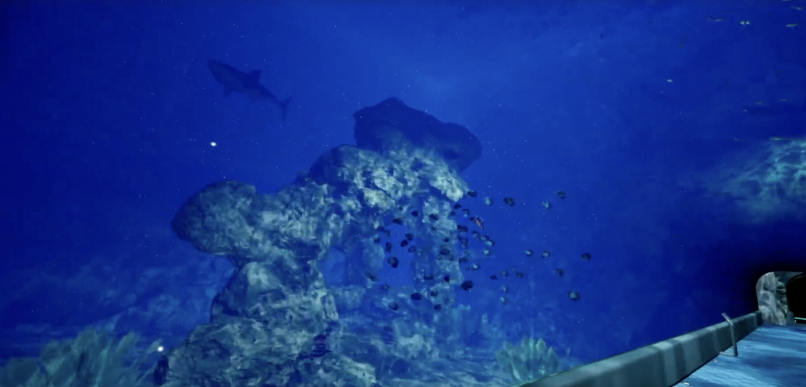 ８月３２日の水族館VR screenshot 5