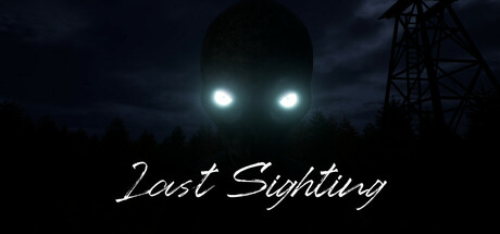 Last Sighting Cover Image