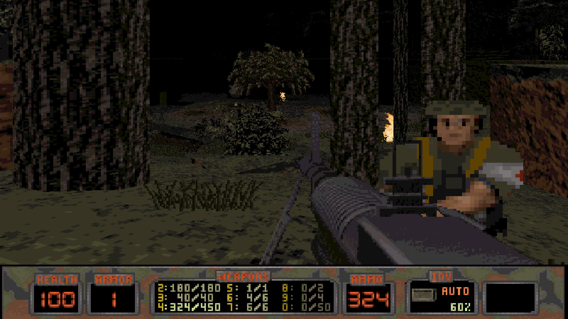 NAM screenshot 2