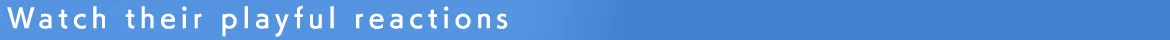 Desktop Mate