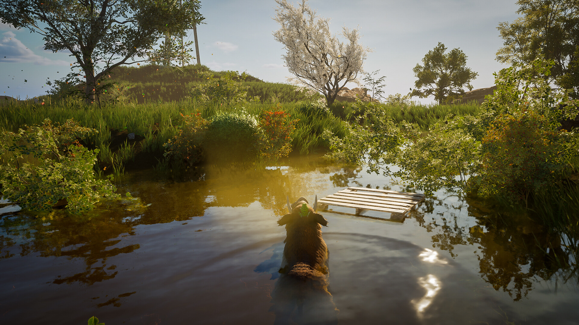 Wild Terrain screenshot 6