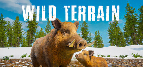 Wild Terrain