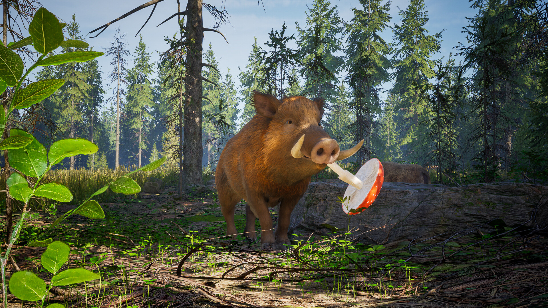 Wild Terrain screenshot 8