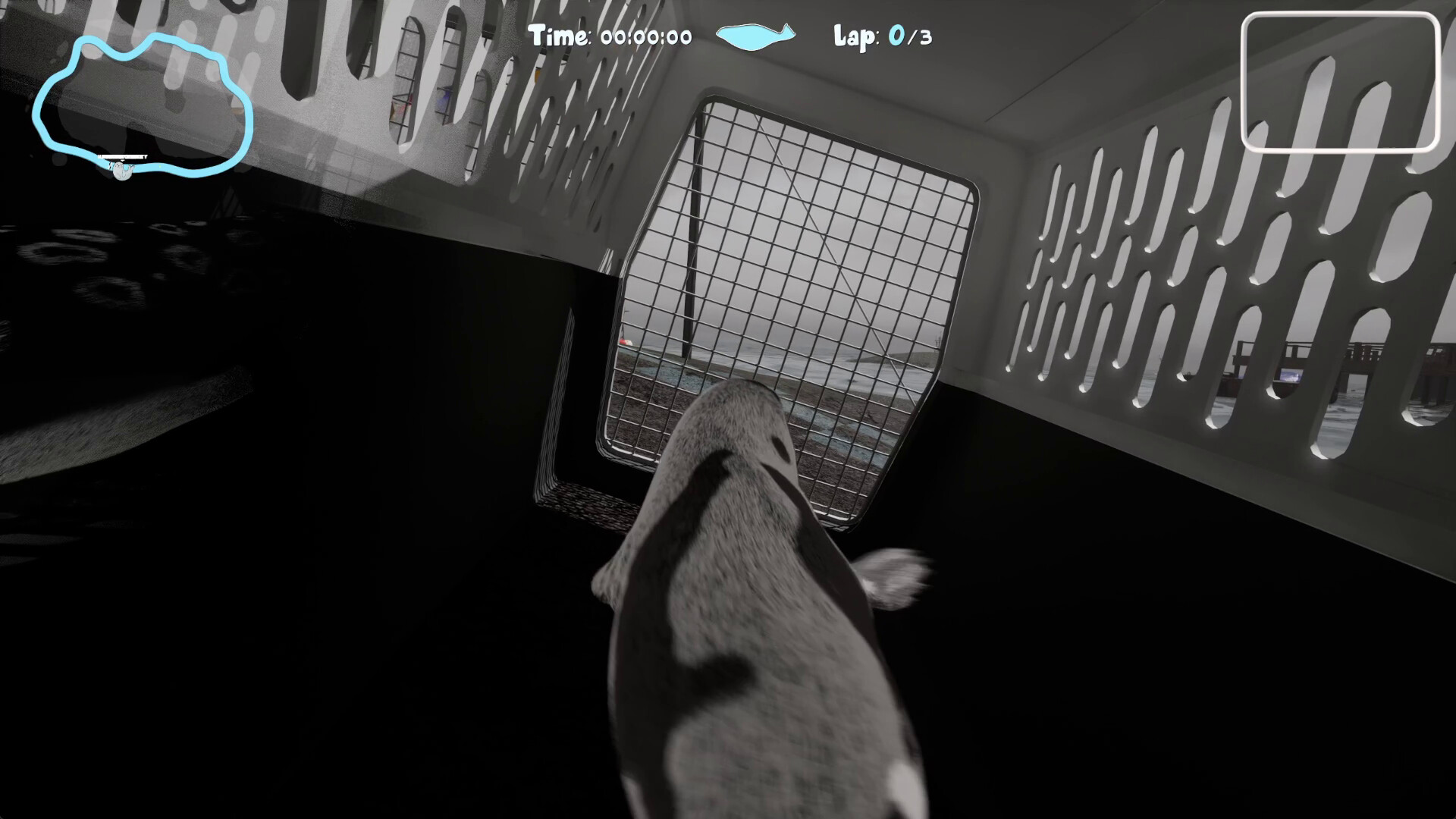 Flipper Frenzy screenshot 4