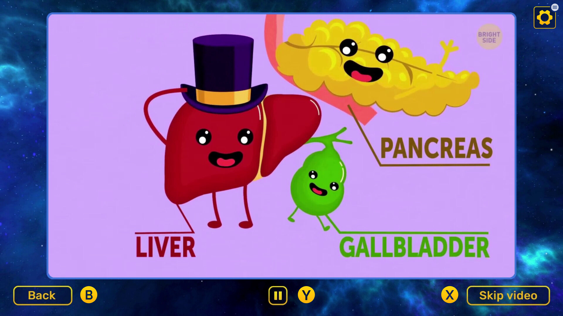 Bright Side: Quiz - Watch & Learn DLC screenshot 5