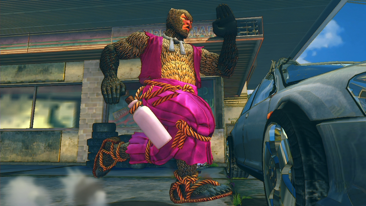 USFIV: Shoryuken Wild Pack screenshot 5