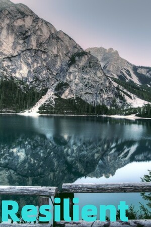 b4dd2b98-89ac-ff38-8986-e7de0bdaf011