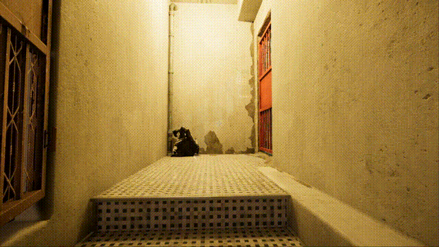 11%E6%9C%887%E6%97%A5_00_00_00-00_00_30.gif