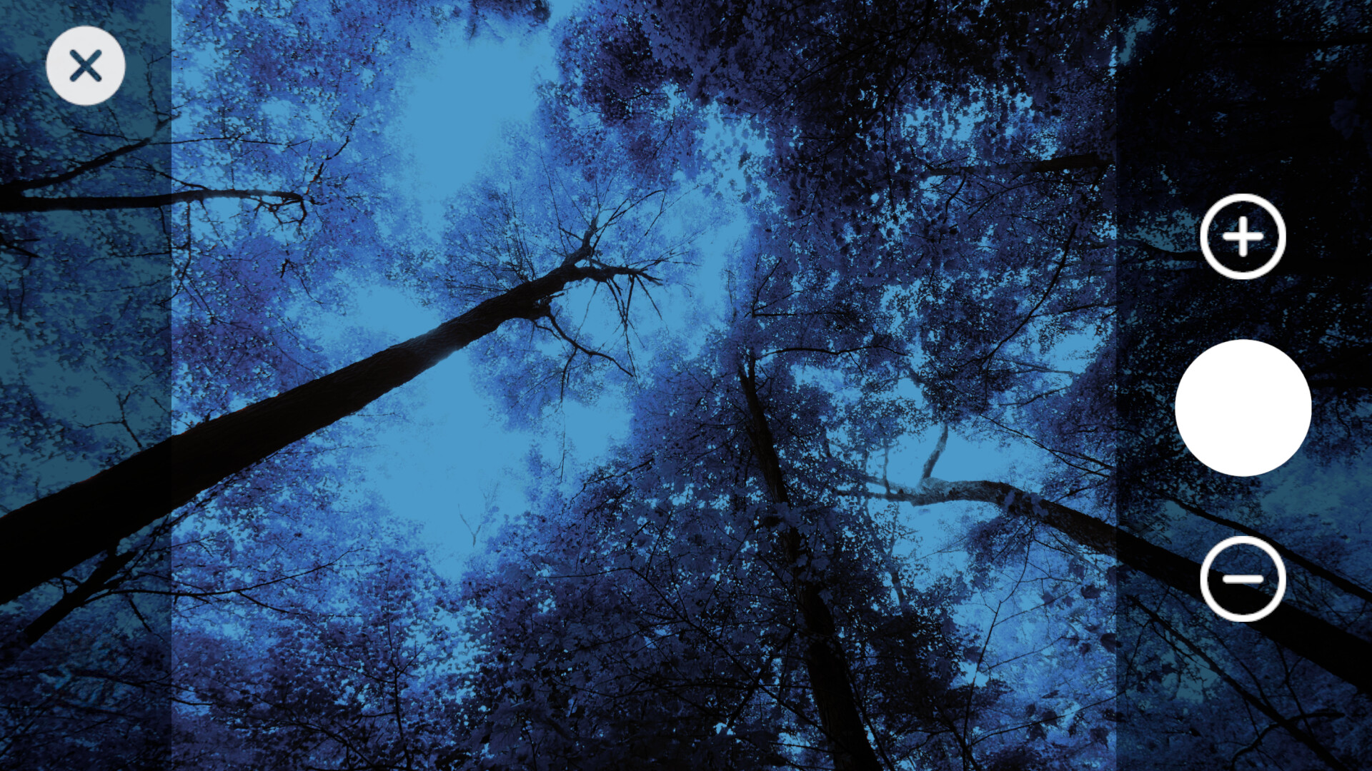 Wanderness screenshot 4