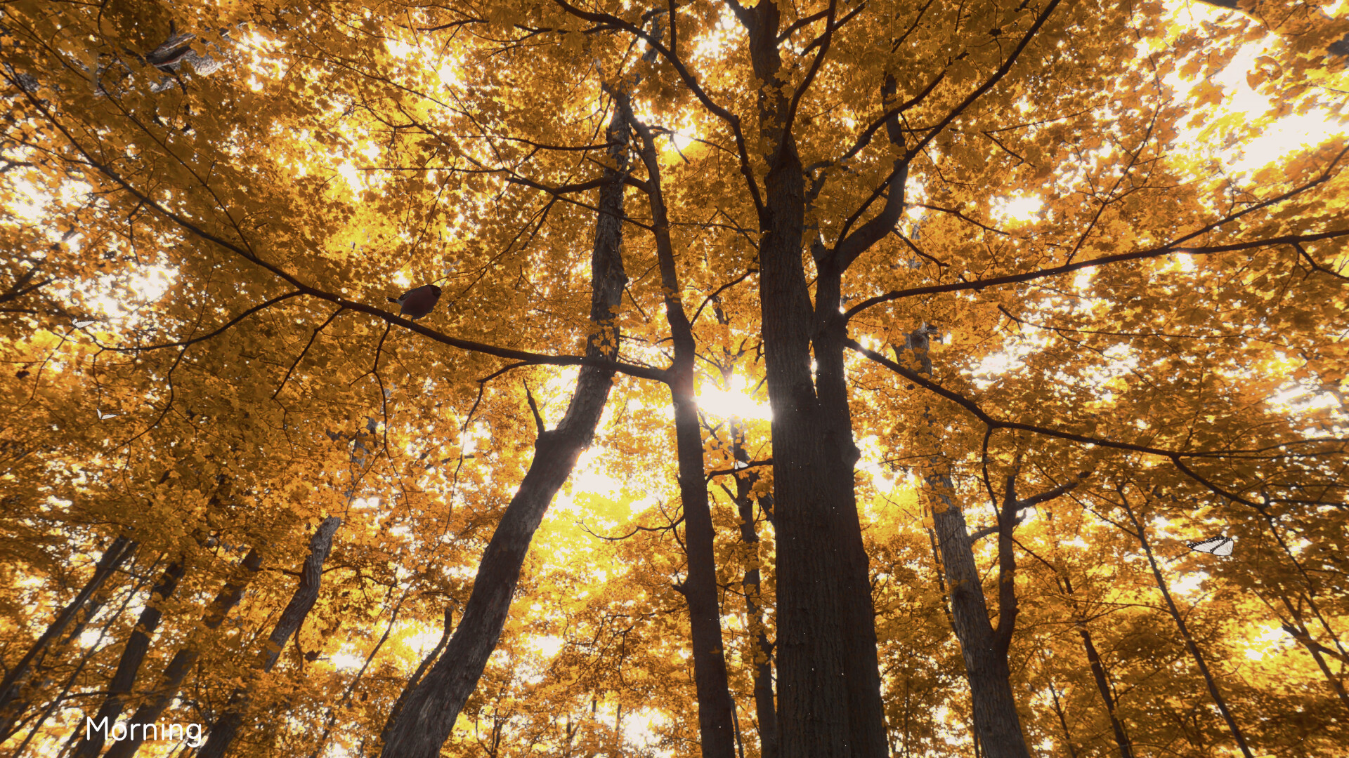 Wanderness screenshot 1