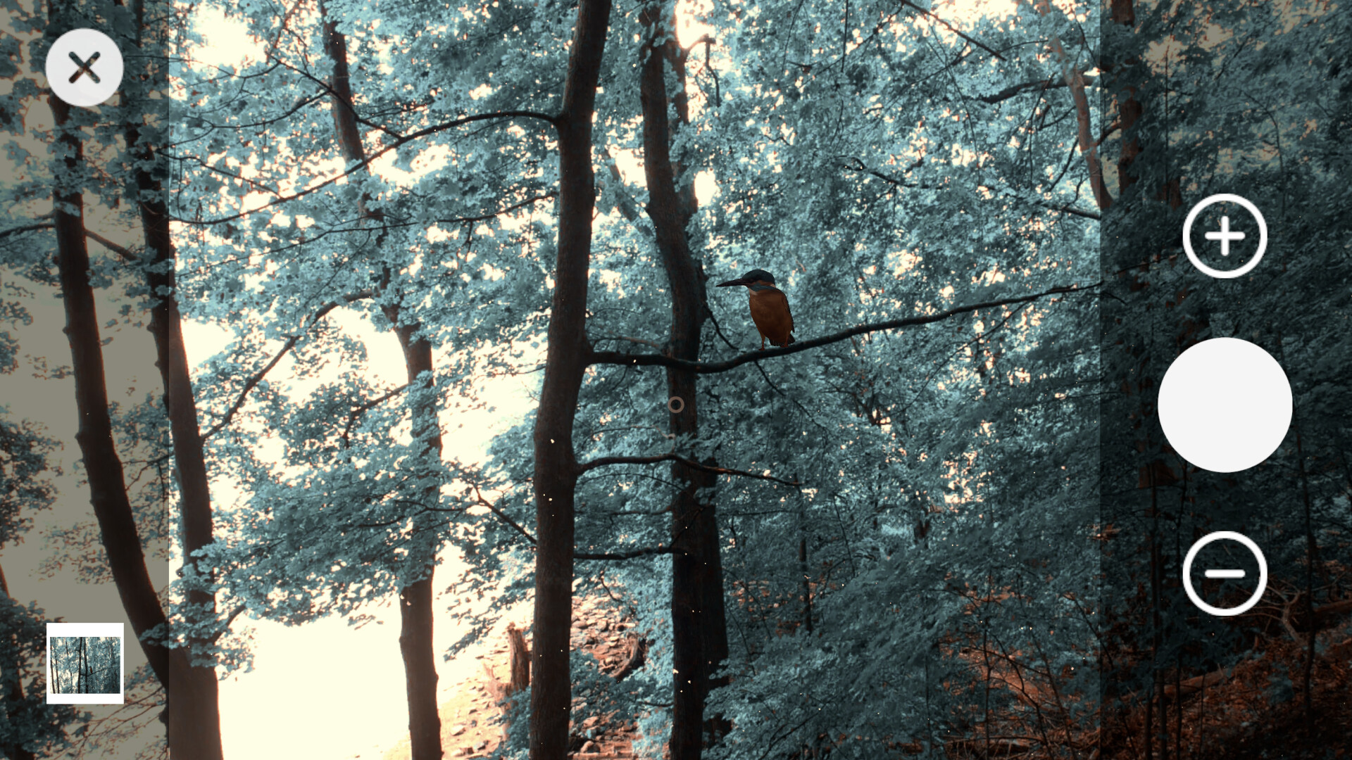 Wanderness screenshot 3