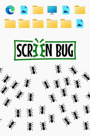 Screen BUG
