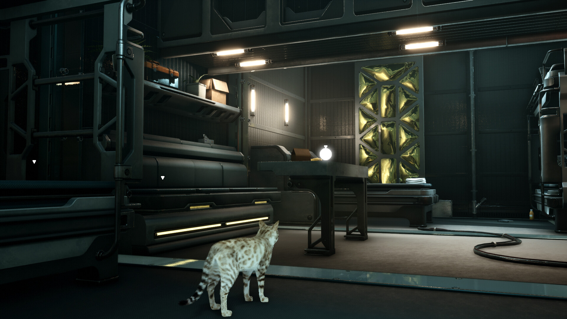 Catfall screenshot 4