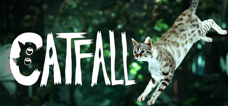 Catfall — Steam header