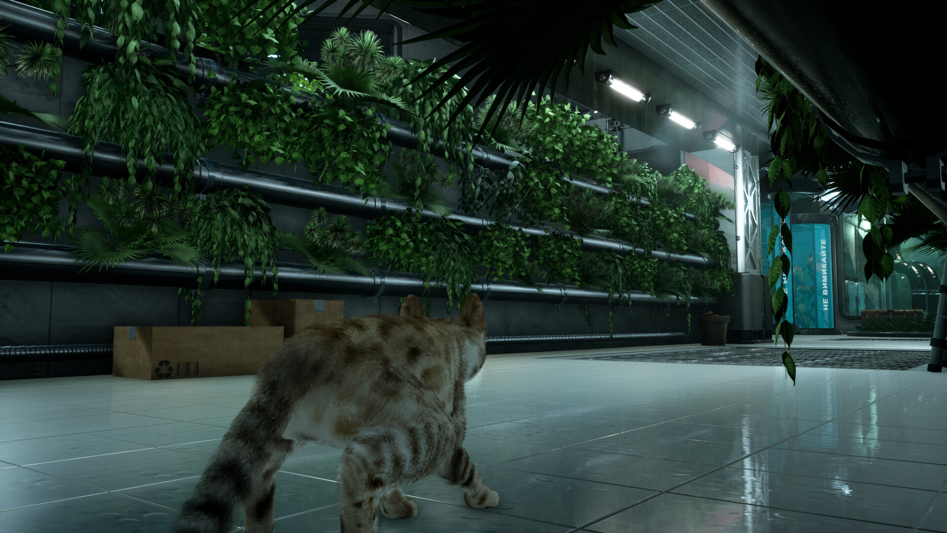 Catfall screenshot 7