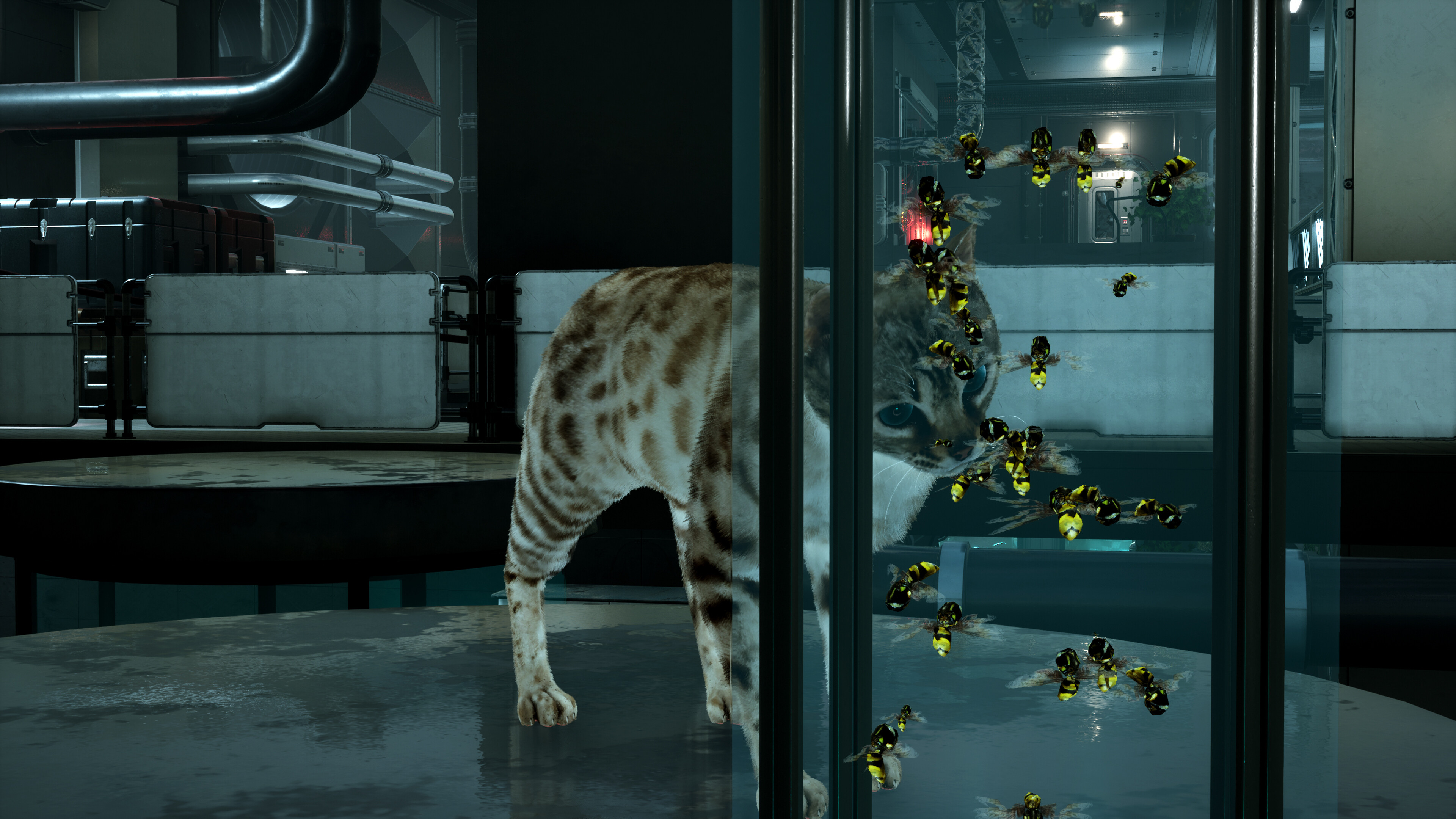 Catfall screenshot 9
