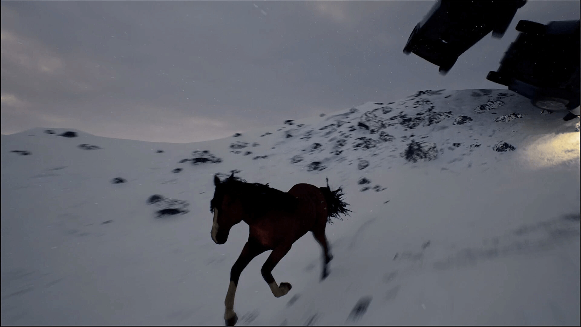 Horse screenshot 4