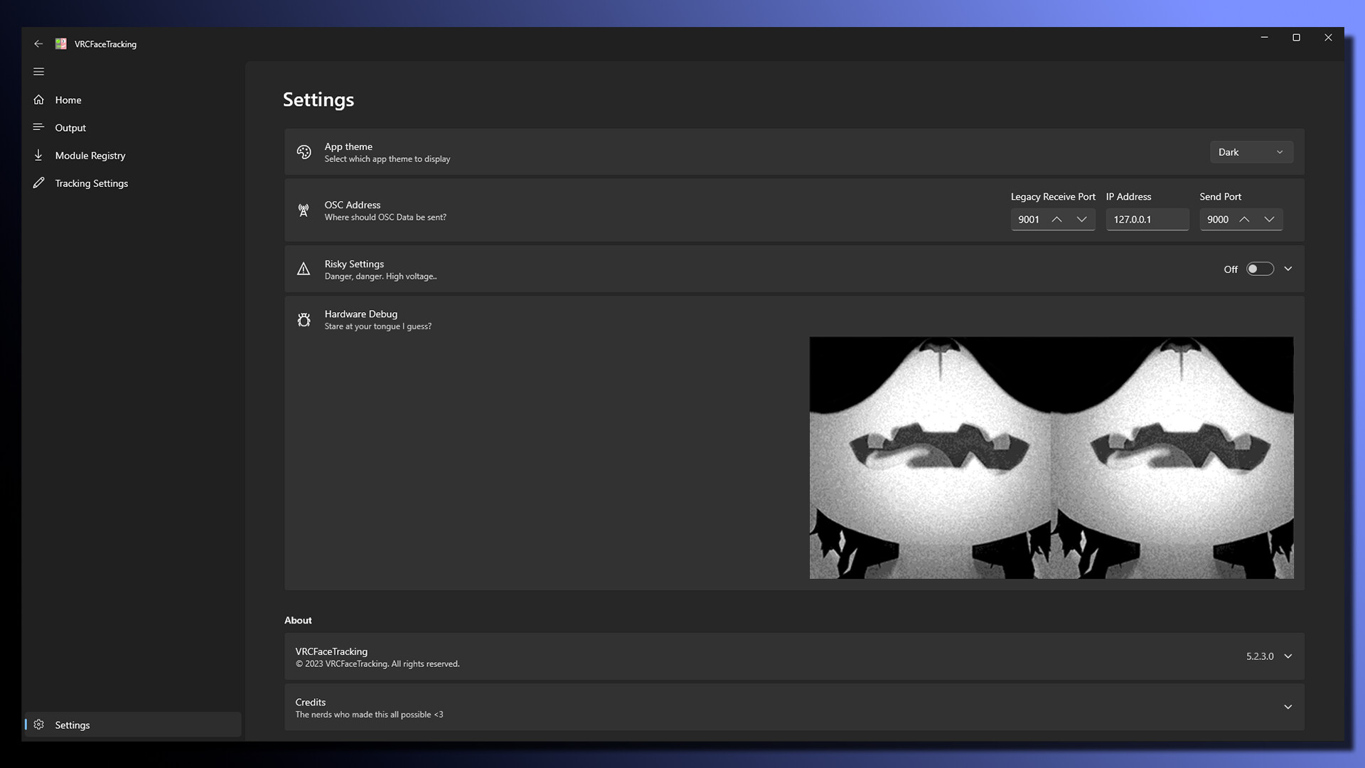 VRCFaceTracking screenshot 5
