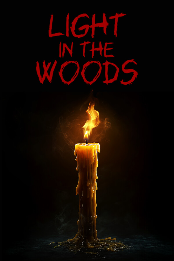 Light in the woods