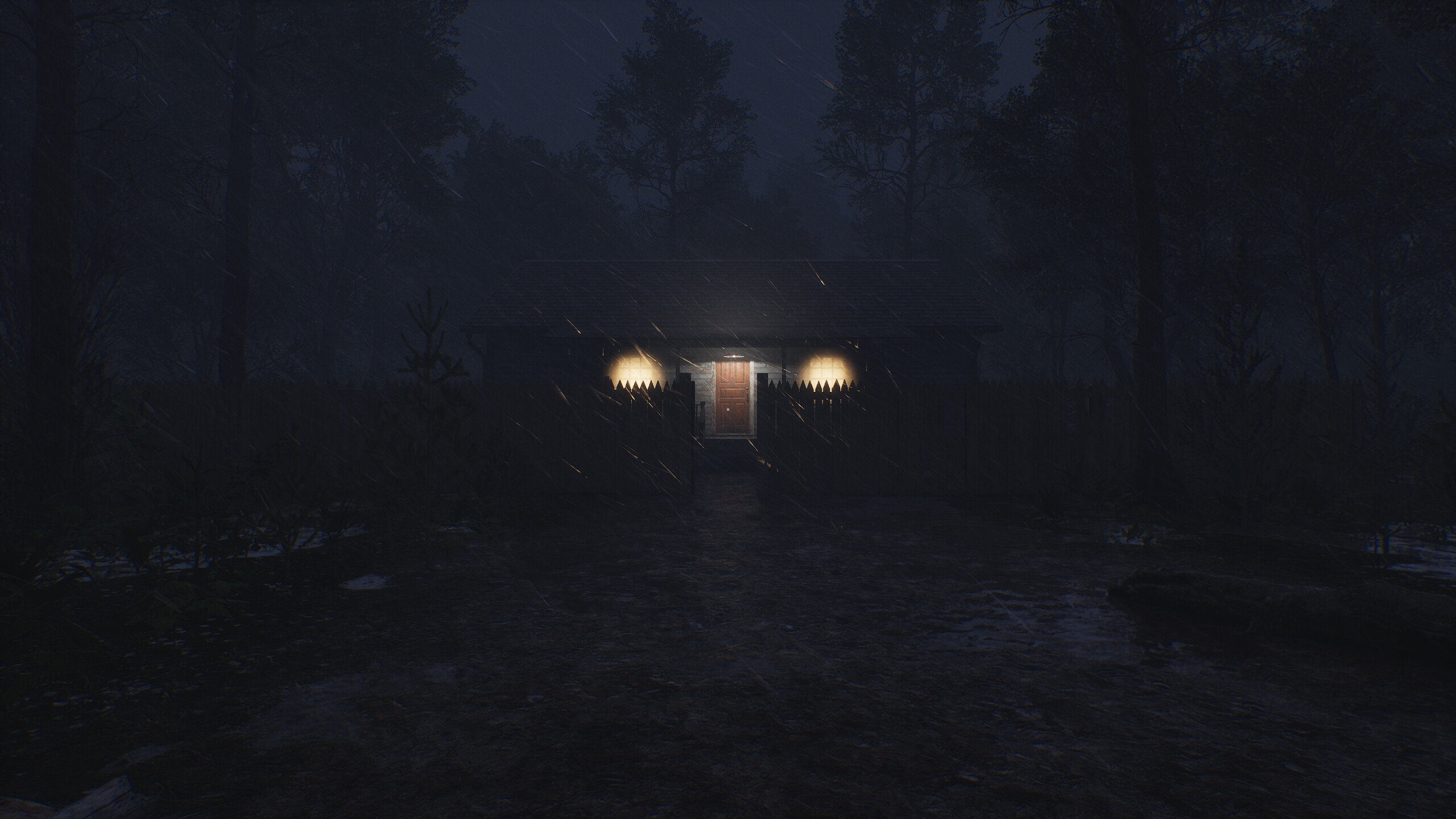 Light in the woods screenshot 1