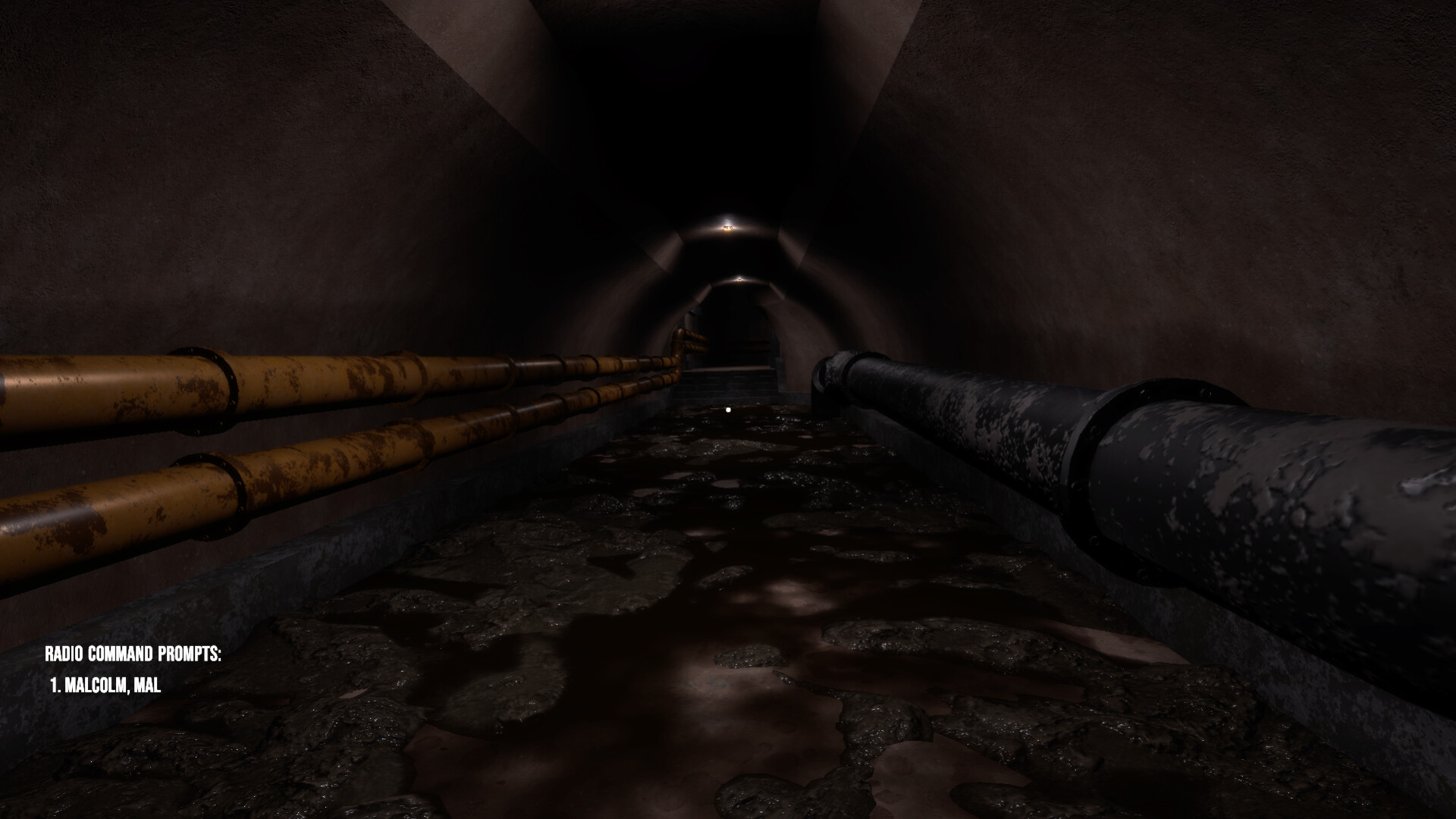 Echoes Beneath screenshot 1