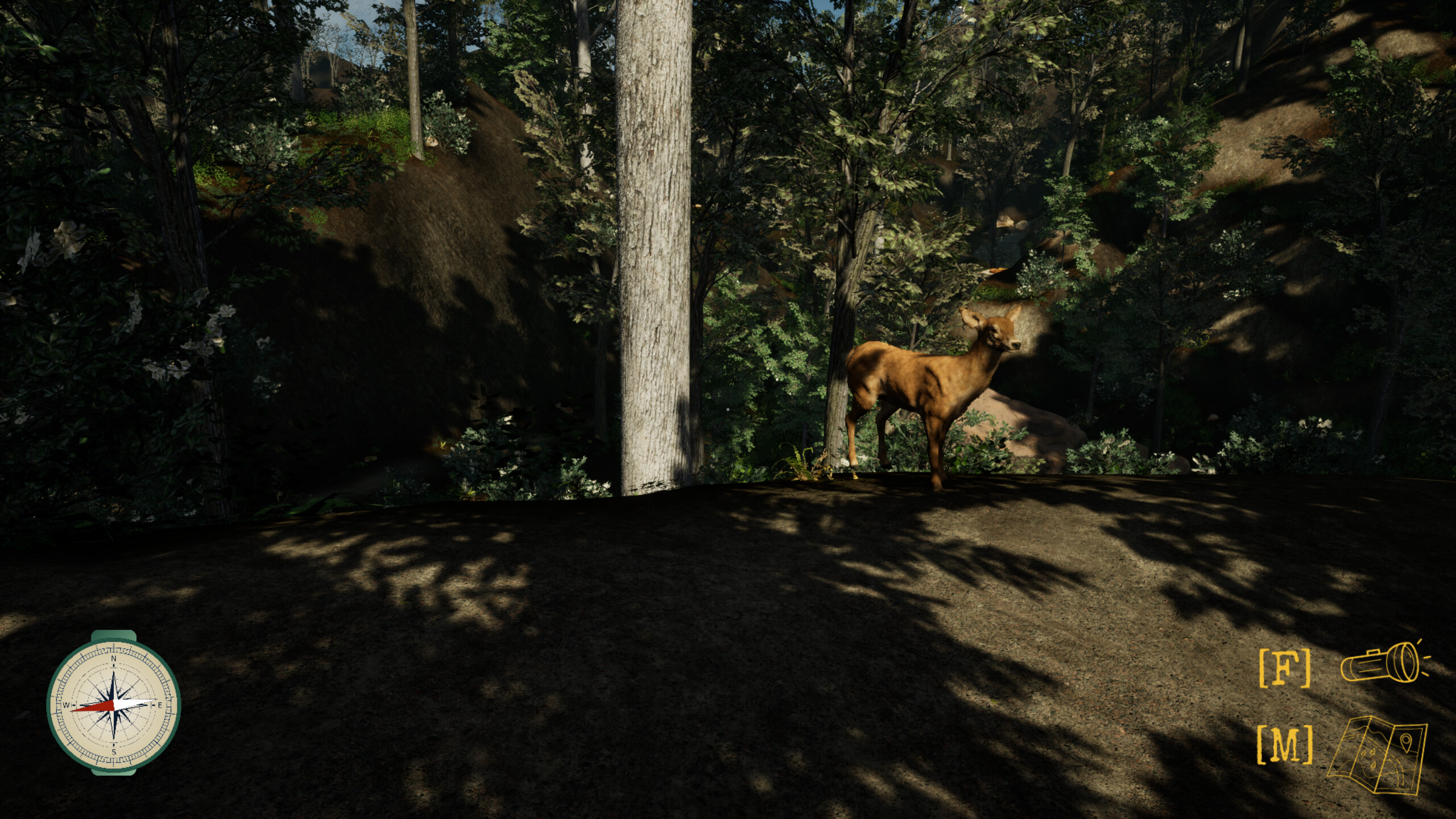 Pack It Out screenshot 9