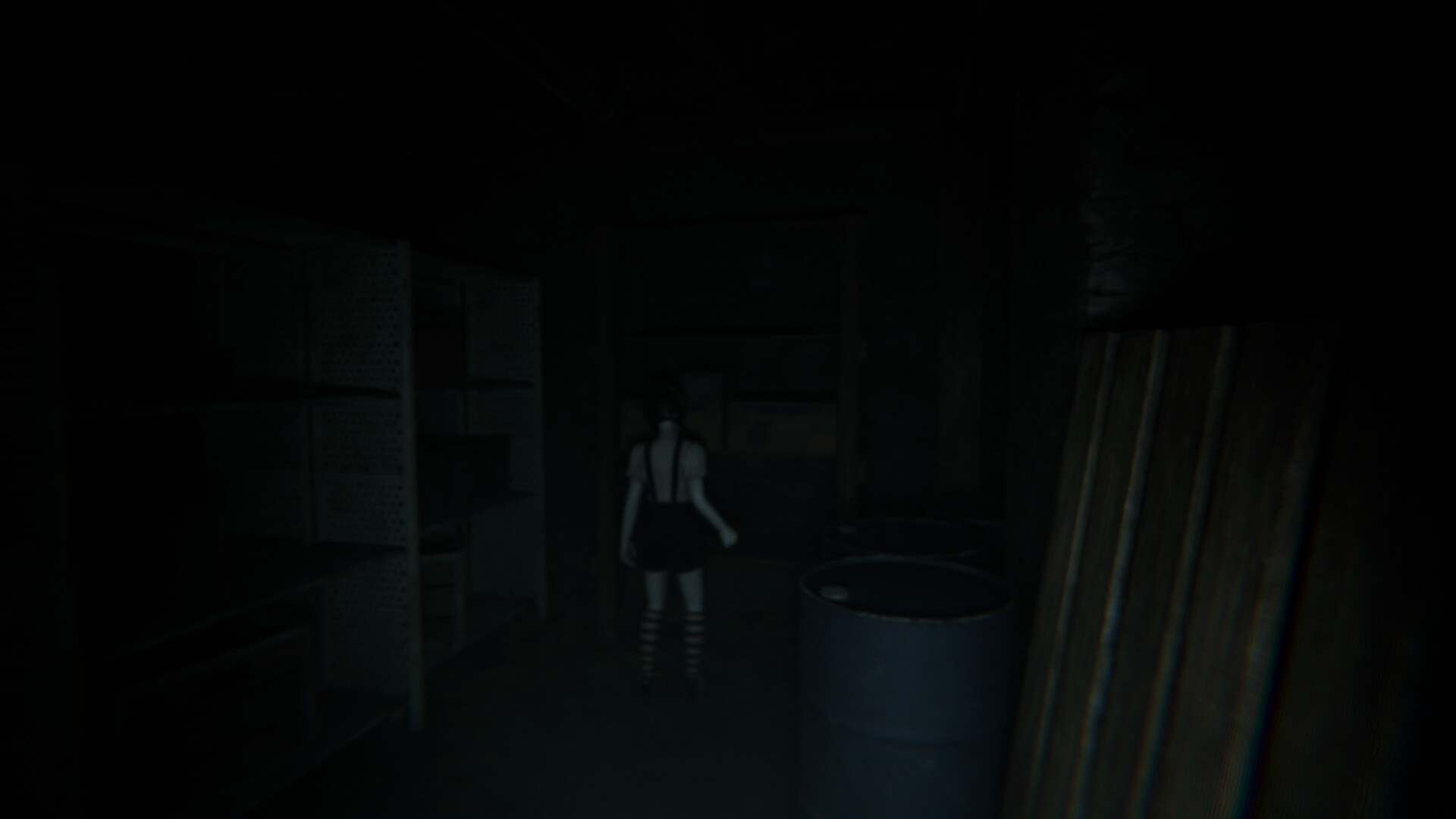 Nightfall House screenshot 4