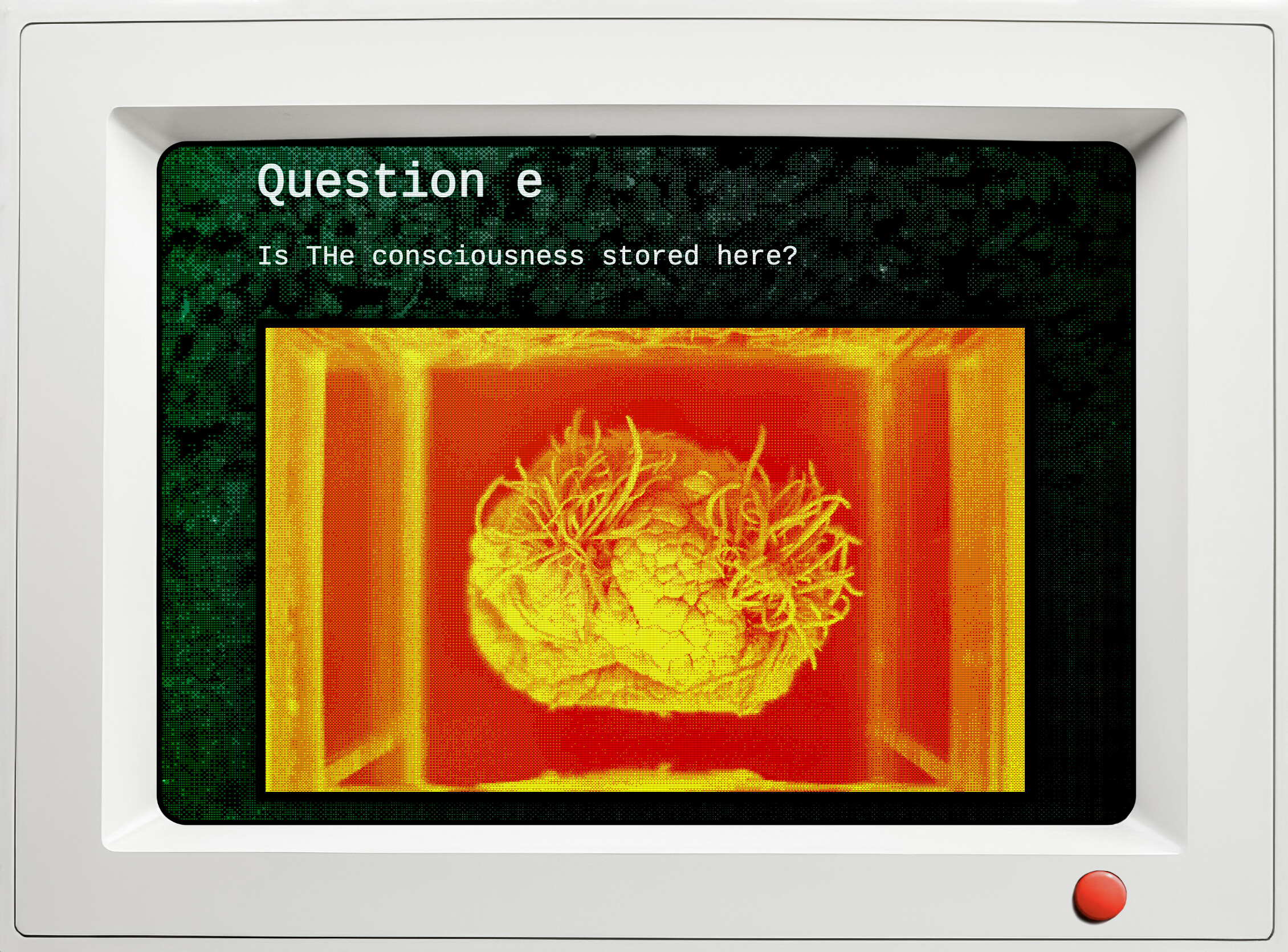 qualia screenshot 4