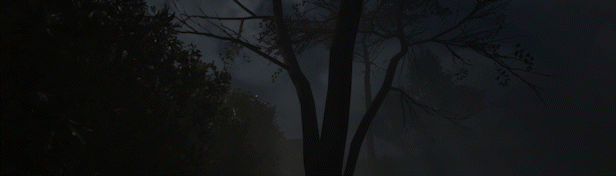 Banner_Gef.Gef