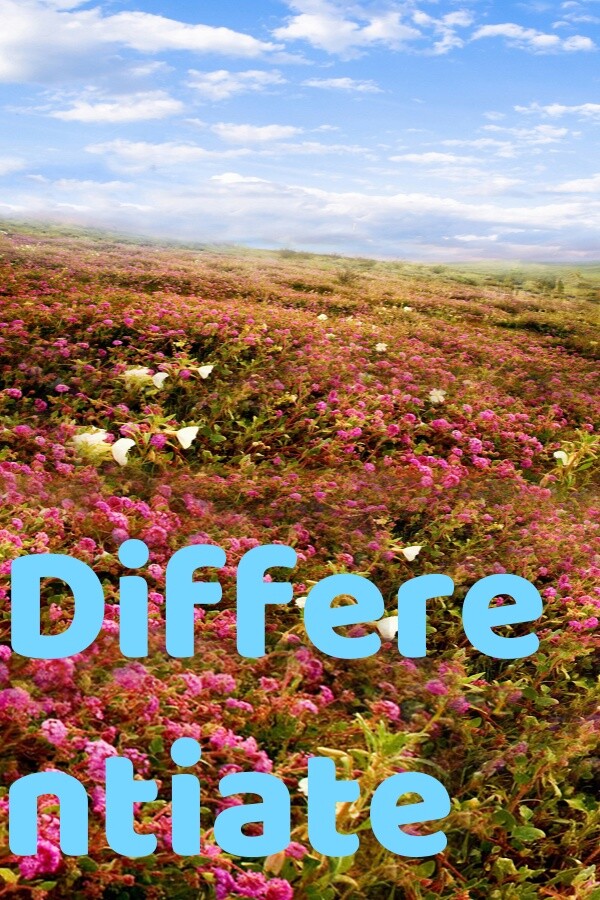 7277322f-2db0-0c54-9f5d-40b15b22440c