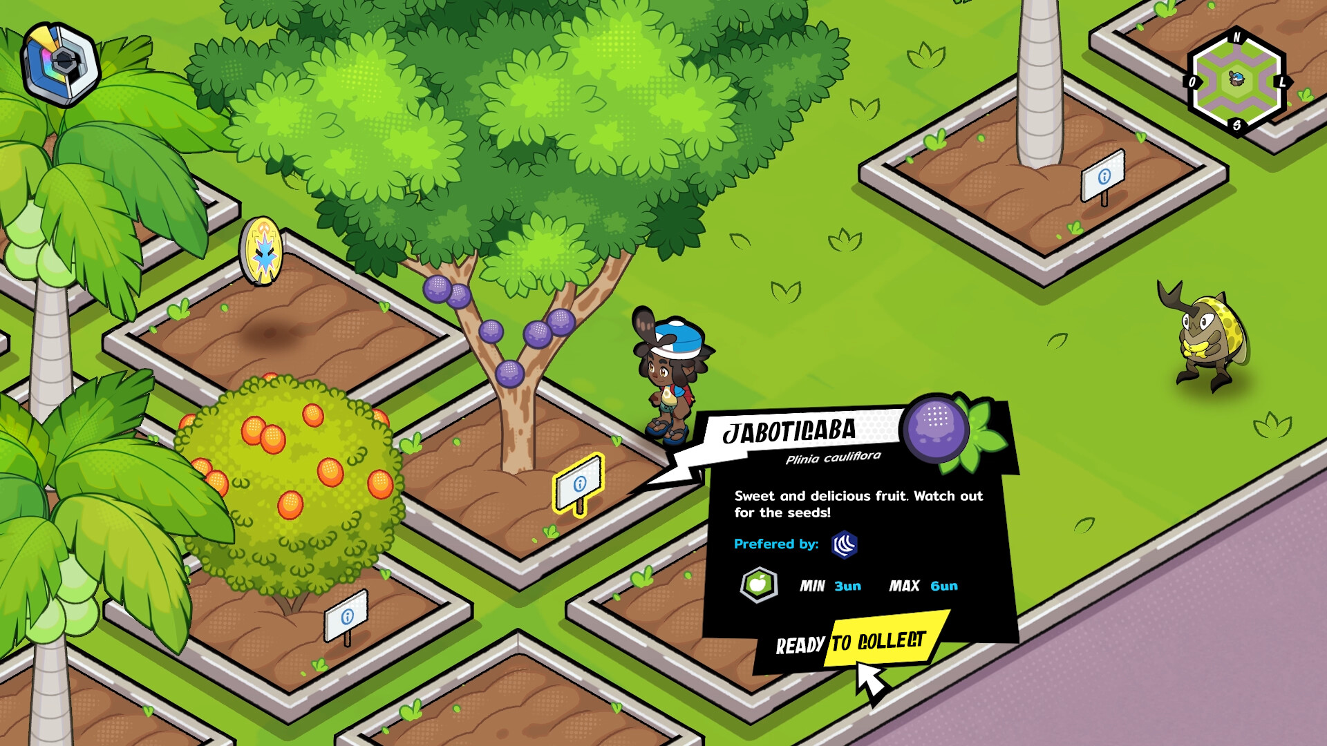 Bagdex screenshot 2