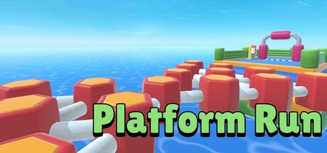 Platform Run Cover Image