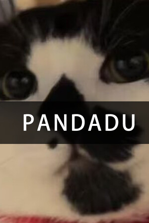 fd181183-9960-1909-6b6f-b62ba6ef45e5