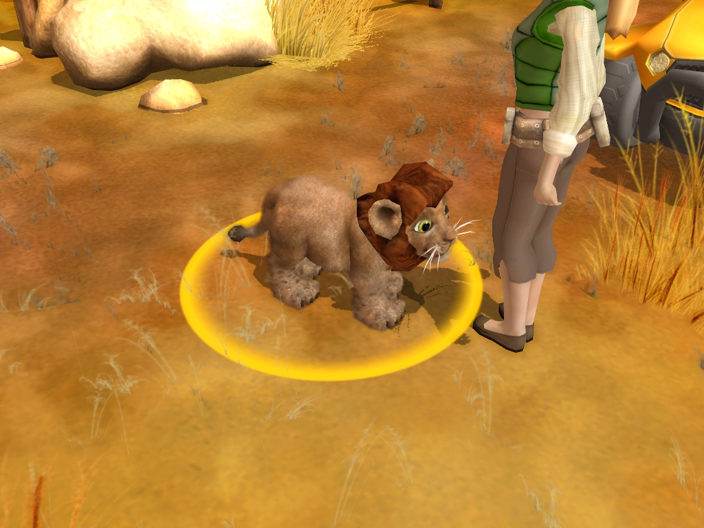 Wildlife Camp screenshot 13
