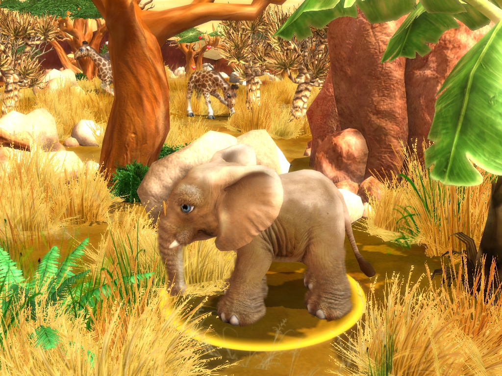 Wildlife Camp screenshot 29
